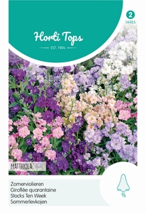 Matthiola, Zomerviolier gemengd