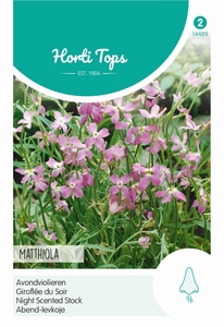 Matthiola, Avondviolier roze    (OP =OP)
