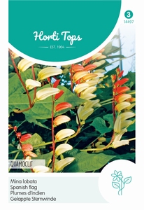 Mina Lobata, Spaanse vlag Quamoclit