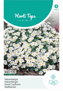 Nierembergia, Witte Beker White Robe