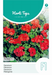 Pelargonium, Geranium Mustang F1 rood