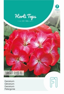 Pelargonium, Geranium Brig Eyes F1 rood/Wit