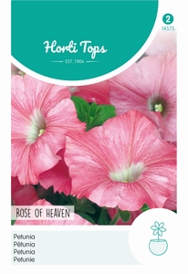 Petunia Rose of Heaven
