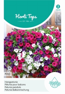 Petunia pendula, Hangpetunia gemengd