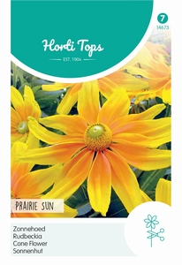 Rudbeckia, Zonnehoed Prairie Sun