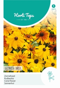 Rudbeckia, Zonnehoed Gloriosa Daisy gemengd