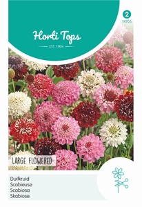 Scabiosa atropurpurea, Duifkruid gemengd