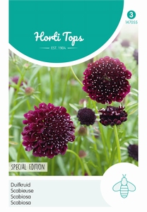 Scabiosa atropurpurea, Duifkruid diep donkerpaars