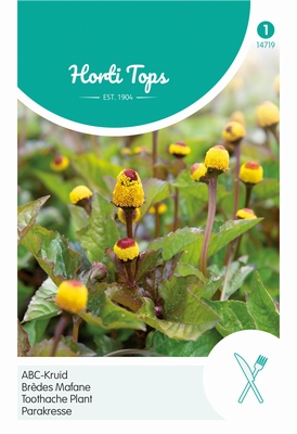 Spilanthes, Kiespijnplant  ABC-kruid  -  NIEUW