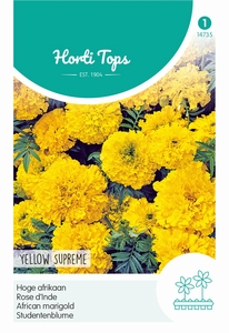 Tagetes, hoge Afrikaan Yellow Supreme