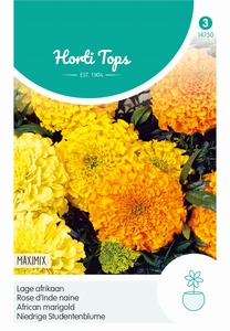 Tagetes, lage Afrikaan Maximix