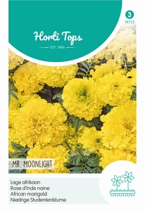 Tagetes, lage Afrikaan Mr. Moonlight, geel   (OP =OP)