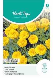 Tagetes, lage Afrikaan Petite Yellow