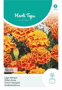 Tagetes, lage Afrikaan Bolero