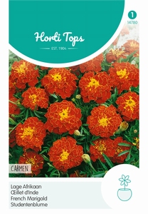 Tagetes, lage Afrikaan Carmen