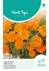 Tagetes, lage Afrikaan Tangerine