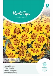 Tagetes, lage Afrikaan Naugy Marietta