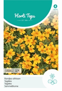 Tagetes, Randjes-afrikaan Orange