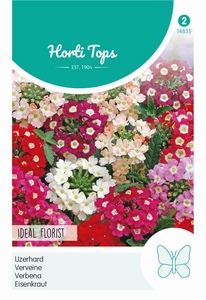 Verbena, IJzerhard Ideal Florist gemengd