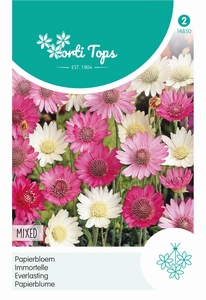 Xeranthemum, Papierbloem gemengd