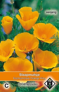 Eschscholzia cal. Orange King