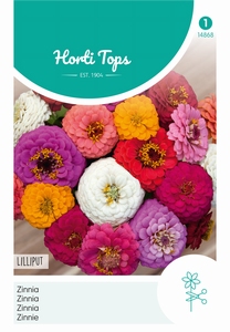 Zinnia Liliput gemengd