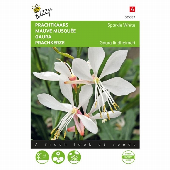 Gaura lindheimeri  -  NIEUW