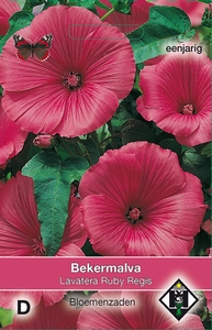 Lavatera trimestris Ruby Regis  (OP=OP)