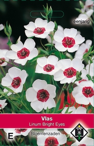 Linum grandiflorum Bright Eyes