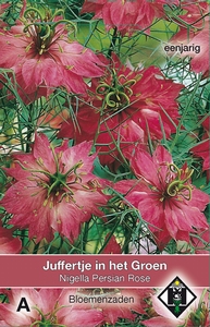 Nigella damascena Persian Rose