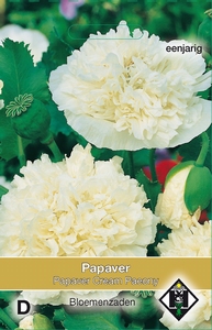 Papaver paeoniflorum Cream Paeony  (klaproos)