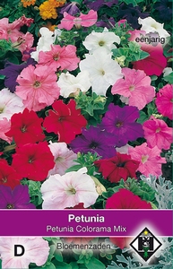 Petunia nana compacta Colorama Mix