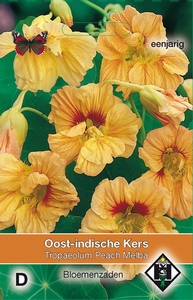 Tropaeolum m. n. Peach Melba