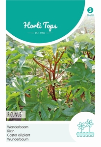Ricinus communis Gemengd- Wonderboom