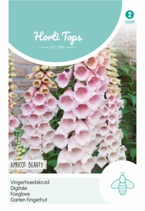 Digitalis purpurea Apricot Beauty   Vingerhoedskruid   NIEUW