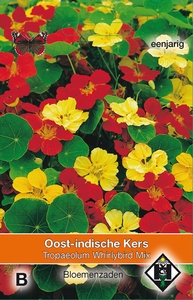Tropaeolum m. n. Whirlybird Mix