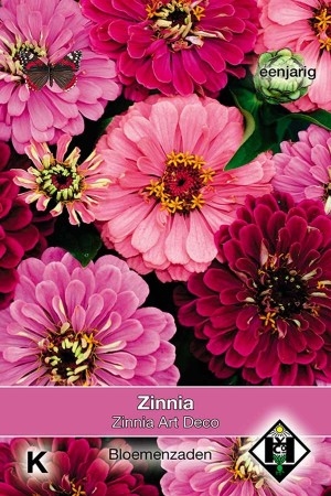Zinnia elegans Art Deco