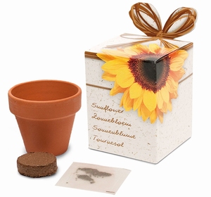 Weggeef-kadodoosje Zonnebloemen Sunflower  (staffelprijzen)