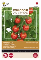 Tomaat Pomodori Gardeners Delight (Cherry) NIEUW