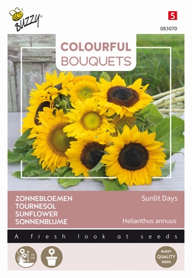 Colorful Bouquets, Sunlit Days (Zonnebloemen halfhoog) NIEUW