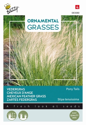 Siergras Ornamental Grasses, Stipa ten. 'Pony Tails'  NIEUW