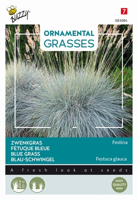 Siergras Ornamental Grasses, Festuca glauca 'Blaue Auslese' NIEUW