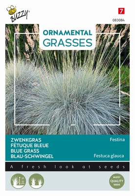 Siergras Ornamental Grasses, Festuca glauca 'Blaue Auslese'