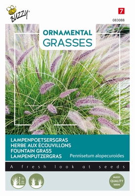 Siergras Ornamental Grasses, Pennisetum alopecuriodes NIEUW