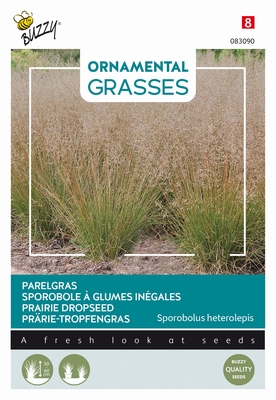 Siergras Ornamental Grasses, Sporobolus heterolepis NIEUW
