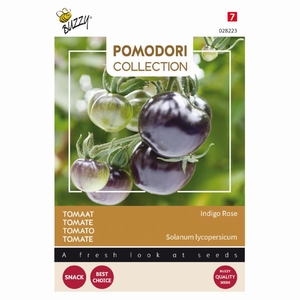 Tomaat Pomodori Indigo rose (zwart) NIEUW