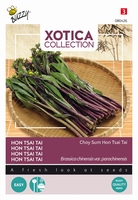 Tsai-Tai, Purple Choy Sum Hon Tsai Tai of Taisai   NIEUW