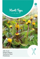Spilanthes, Kiespijnplant  ABC-Kruid   -  NIEUW