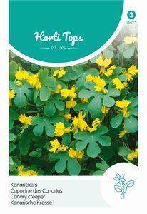 Tropaeolum peregrinum, Kanariekers geel