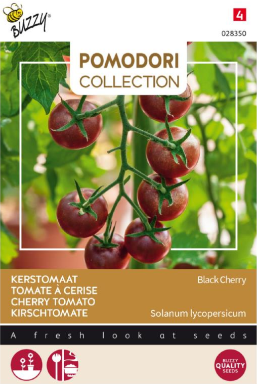 Tomaat Pomodori Black Cherry  NIEUW
